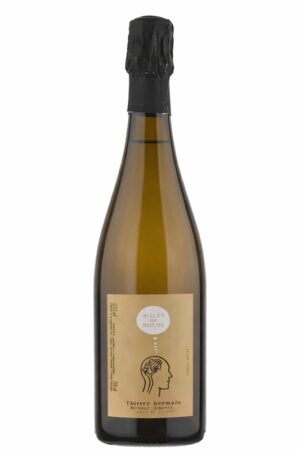 enotecaquick_loira_domainedesrochesneuves_bullesderoche